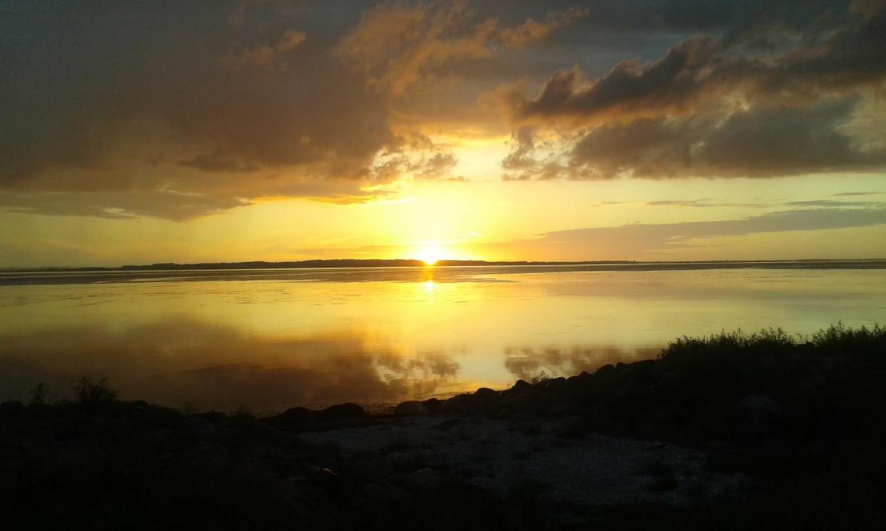 Wellness Oase Med Sauna, Fodbad Og Hojhastighed Internet I Naturens Fred Og Ro Nibe エクステリア 写真